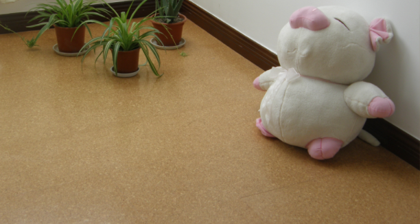 軟木地板的優(yōu)勢(shì)是什么，中林帶你了解一下！